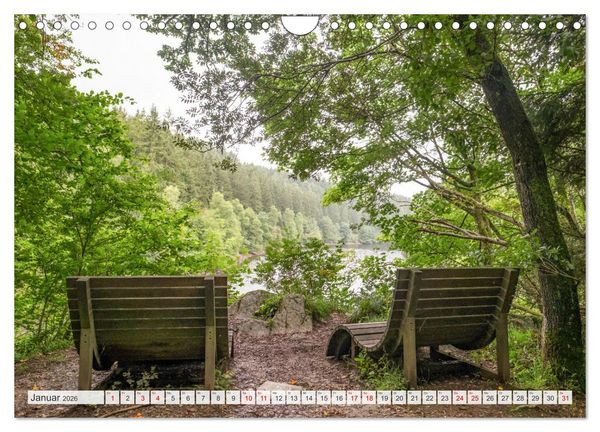 Produktbild: Nationalpark Eifel - Sch&ouml;ne Tage im Gr&uuml;nen (Wandkalender 2026 DIN A4 quer), CALVENDO Monatskalender