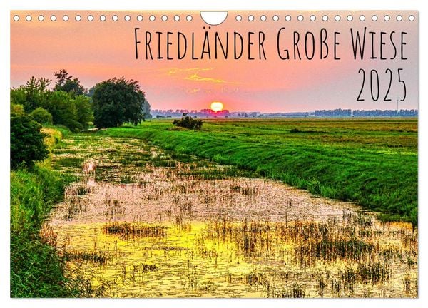 Friedländer Große Wiese (Wandkalender 2025 DIN A4 quer), CALVENDO Monatskalender