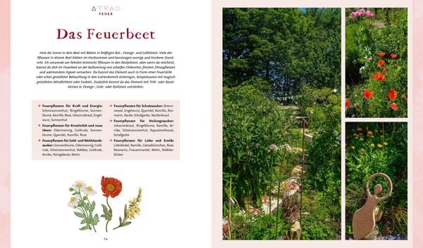 Produktbild: Magie im Hexengarten &ndash; G&auml;rtnern mit gr&uuml;ner Magie