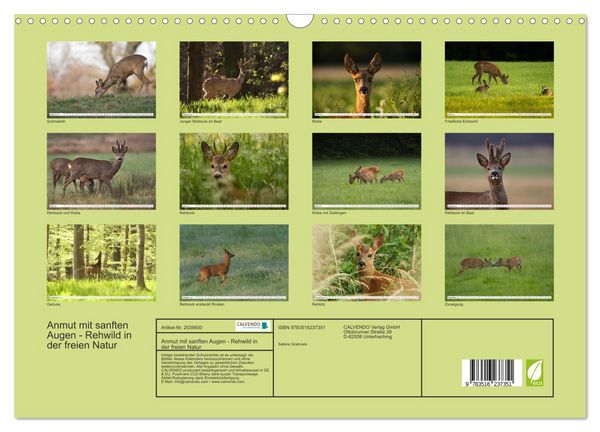 Produktbild: Anmut mit sanften Augen - Rehwild in der freien Natur (Wandkalender 2026 DIN A3 quer), CALVENDO Monatskalender