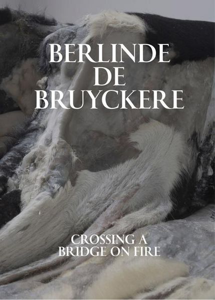 Produktbild: Berlinde De Bruyckere: Crossing a Bridge on Fire