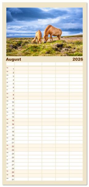 Produktbild: Familienplaner 2026 - Islandpferde - Die s&uuml;&szlig;en Pferde im Norden. mit 5 Spalten (Wandkalender, 21 x 45 cm) CALVENDO