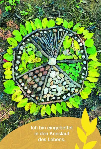 Produktbild: Waldbaden mit Yoga &ndash; Kartenset