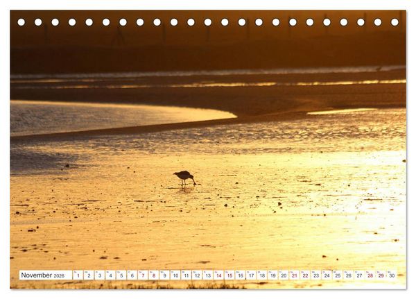 Produktbild: Seel&auml;ndisches Flandern (Tischkalender 2026 DIN A5 quer), CALVENDO Monatskalender