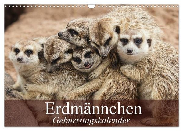Erdmännchen (Wandkalender 2026 DIN A3 quer), CALVENDO Monatskalender