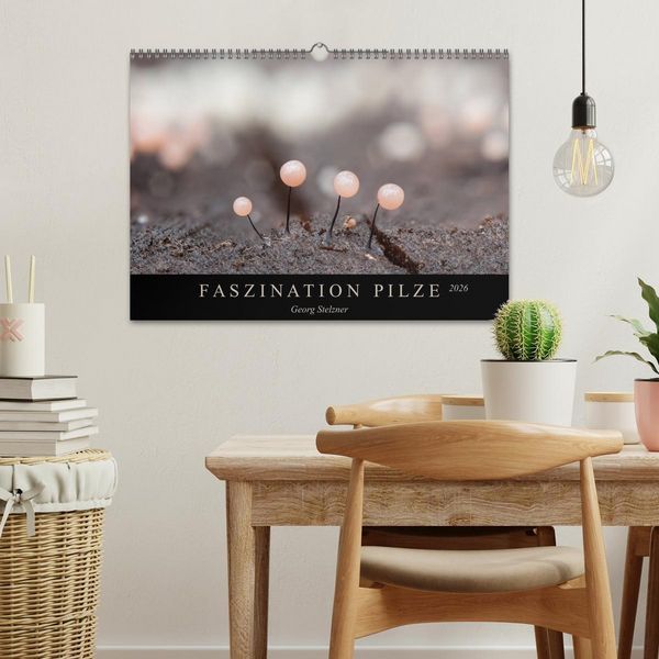 Produktbild: FASZINATION PILZE 2026 (Wandkalender 2026 DIN A3 quer), CALVENDO Monatskalender