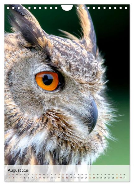 Produktbild: V&ouml;gel - gefiederte Freunde in unserer Natur (Wandkalender 2026 DIN A4 hoch), CALVENDO Monatskalender