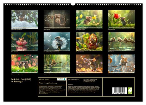 Produktbild: M&auml;use - neugierig unterwegs (hochwertiger Premium Wandkalender 2026 DIN A2 quer), Kunstdruck in Hochglanz