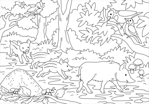 Produktbild: Mein sch&ouml;nstes Malbuch. Wald und Wiese