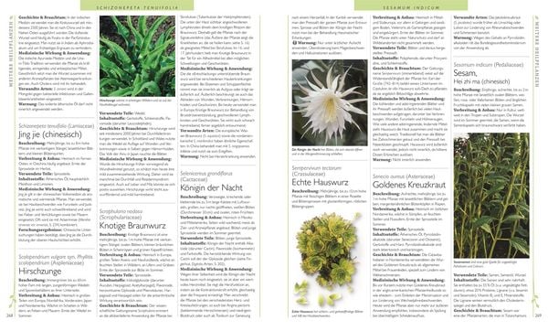 Produktbild: Das gro&szlig;e Lexikon der Heilpflanzen