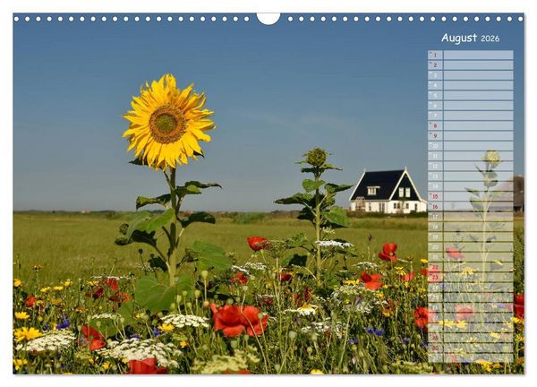 Produktbild: Ein Sommer auf Texel (Wandkalender 2026 DIN A3 quer), CALVENDO Monatskalender