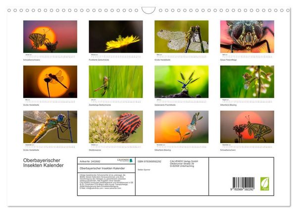 Produktbild: Oberbayerischer Insekten Kalender (Wandkalender 2027 DIN A3 quer), CALVENDO Monatskalender
