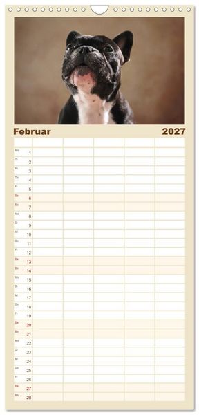 Produktbild: Familienplaner 2027 - Charme auf vier Pfoten - Franz&ouml;sische Bulldoggen Portraits mit 5 Spalten (Wandkalender, 21 x 45 cm) CALVENDO