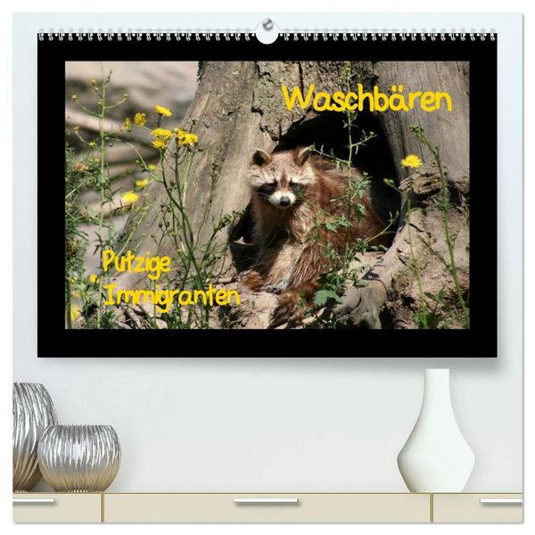 Produktbild: Waschb&auml;ren (hochwertiger Premium Wandkalender 2027 DIN A2 quer), Kunstdruck in Hochglanz