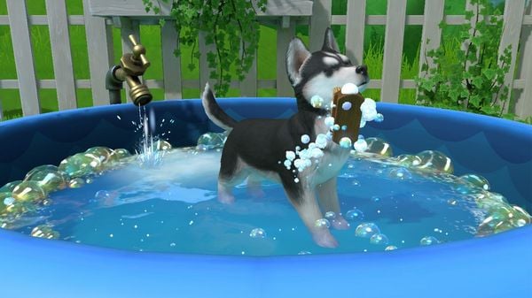 Produktbild: Little Friends - Puppy Island: Die Insel der Welpen (CIAB)