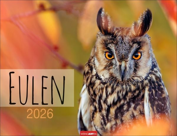 Produktbild: Eulen Kalender 2026