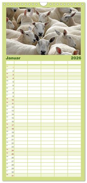 Produktbild: Familienplaner 2026 - Schafe mit 5 Spalten (Wandkalender, 21 x 45 cm) CALVENDO