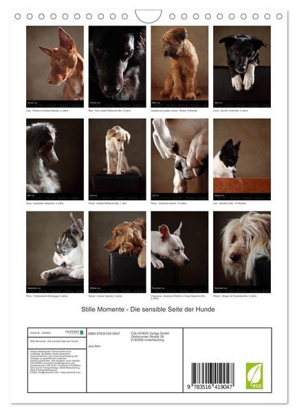 Produktbild: Stille Momente - Die sensible Seite der Hunde (Wandkalender 2026 DIN A4 hoch), CALVENDO Monatskalender