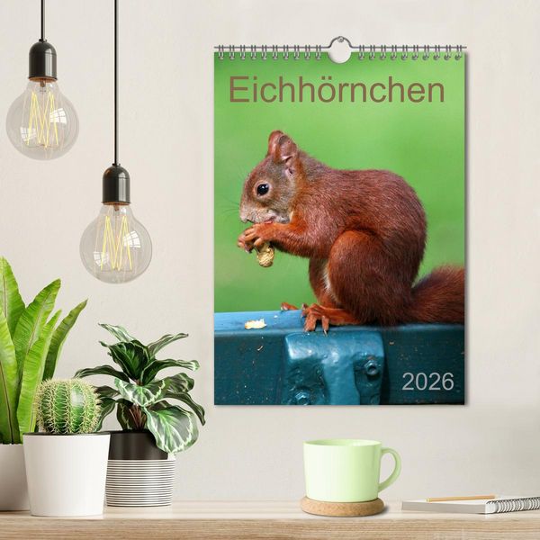 Produktbild: Eichh&ouml;rnchen (Wandkalender 2026 DIN A4 hoch), CALVENDO Monatskalender