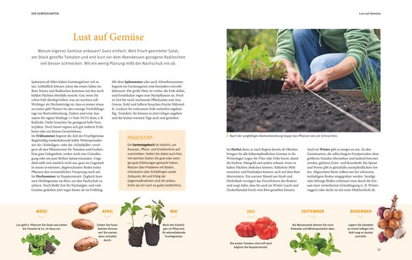 Produktbild: Reiche Ernte
