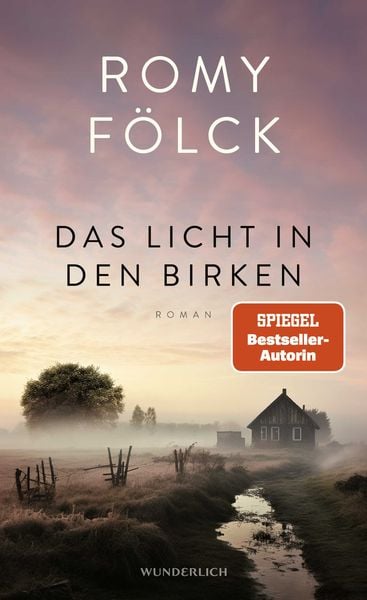 Produktbild: Das Licht in den Birken