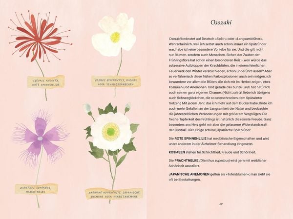 Produktbild: Shibui