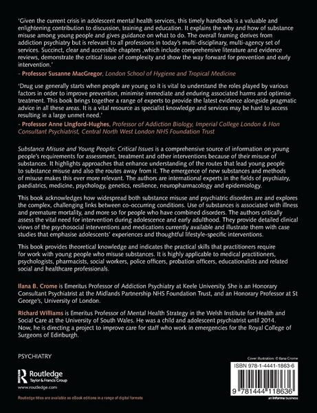 Produktbild: Substance Misuse and Young People
