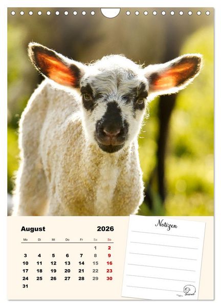Produktbild: L&auml;mmergl&uuml;ck (Wandkalender 2026 DIN A4 hoch), CALVENDO Monatskalender