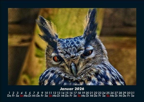 Produktbild: Welt der V&ouml;gel 2026 Fotokalender DIN A5