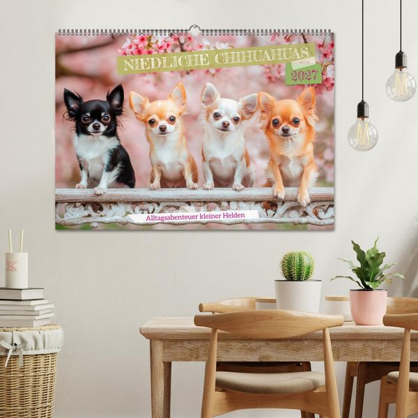 Produktbild: Niedliche Chihuahuas (Wandkalender 2027 DIN A2 quer), CALVENDO Monatskalender