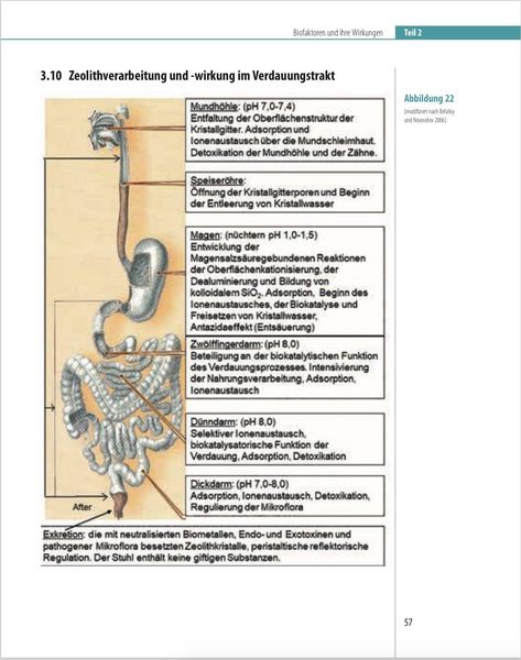 Produktbild: Biofaktoren f&uuml;r gesundes Altern