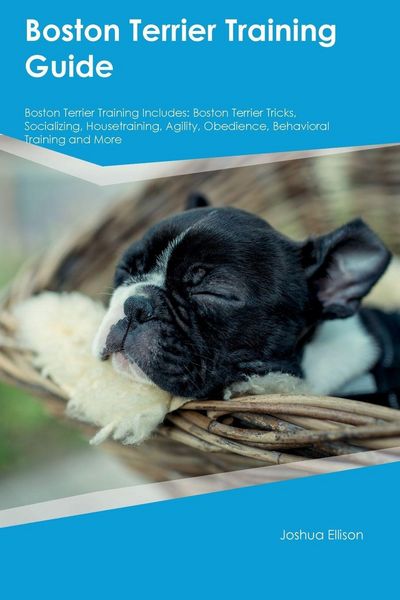 Produktbild: Boston Terrier Training Guide Boston Terrier Training Includes