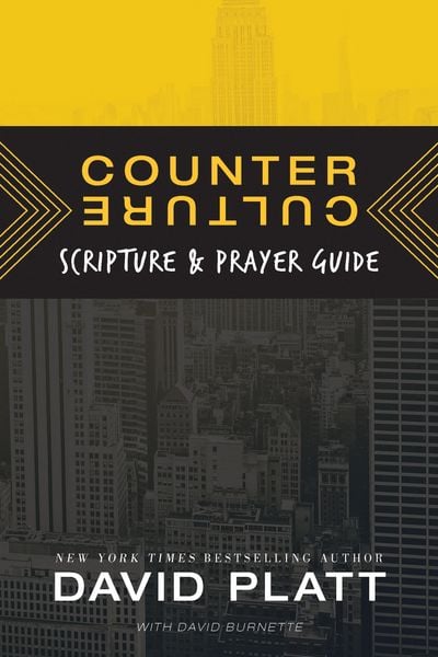 Produktbild: Counter Culture Scripture and Prayer Guide