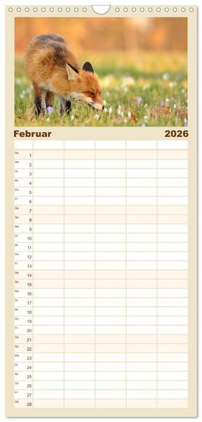 Produktbild: Familienplaner 2026 - Auf den Spuren der Stadtf&uuml;chse mit 5 Spalten (Wandkalender, 21 x 45 cm) CALVENDO