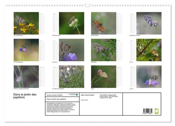 Produktbild: Dans le jardin des papillons (Calendrier mural 2026 DIN A2 vertical), CALVENDO calendrier mensuel