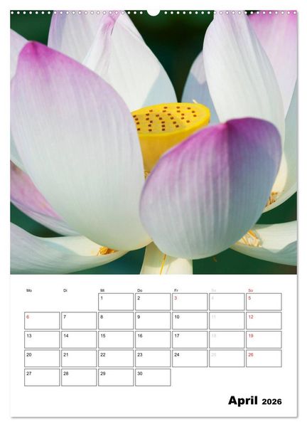 Produktbild: MEDITATION - Wellness f&uuml;r die Seele (hochwertiger Premium Wandkalender 2026 DIN A2 hoch), Kunstdruck in Hochglanz