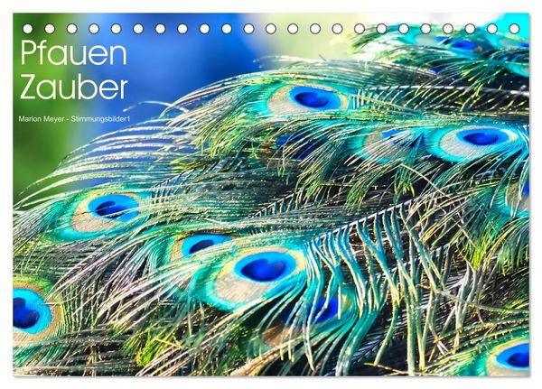 Pfauen Zauber (Tischkalender 2026 DIN A5 quer), CALVENDO Monatskalender