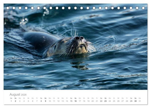 Produktbild: Traumziel D&auml;nemark (Tischkalender 2026 DIN A5 quer), CALVENDO Monatskalender