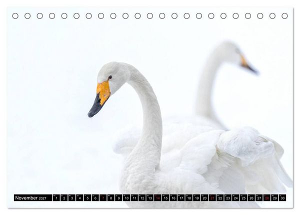 Produktbild: Japanische Vogelwelt im Winter (Tischkalender 2027 DIN A5 quer), CALVENDO Monatskalender