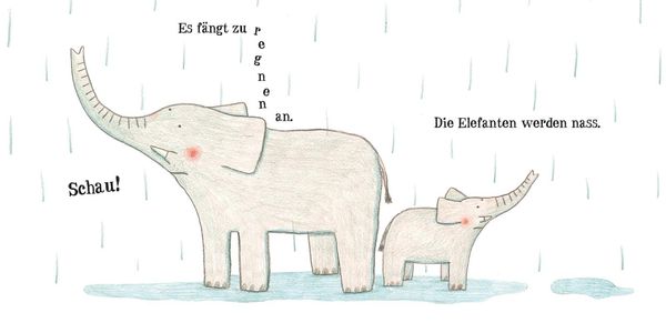 Die Tiere auf der Arche Noah von Marianne Dubuc Buch 978 3