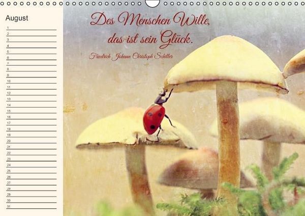 Produktbild: Spruchreifer Geburtstagskalender (Wandkalender immerw&auml;hrend DIN A3 quer)