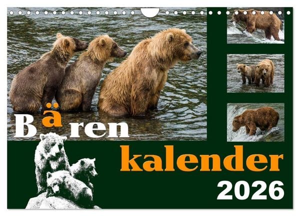 Produktbild: B&auml;renkalender (Wandkalender 2026 DIN A4 quer), CALVENDO Monatskalender