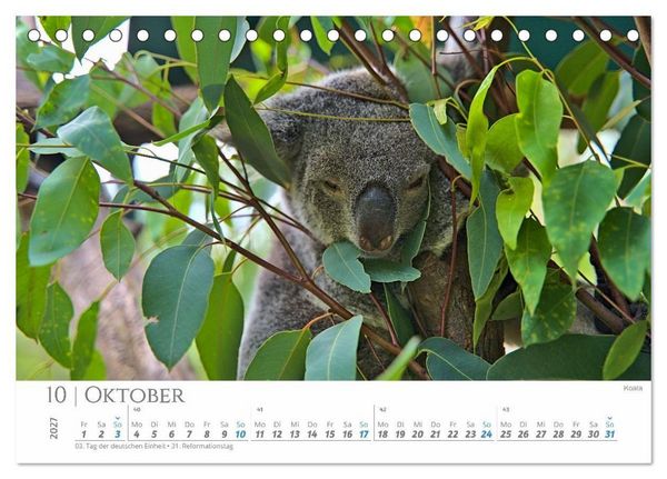 Produktbild: Australien - Highlights Ostk&uuml;ste (Tischkalender 2027 DIN A5 quer), CALVENDO Monatskalender