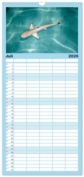 Produktbild: Familienplaner 2026 - Malediven &ndash; Das Paradies im Indischen Ozean III mit 5 Spalten (Wandkalender, 21 x 45 cm) CALVENDO
