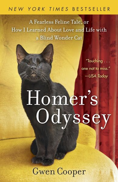 Produktbild: Homer's Odyssey