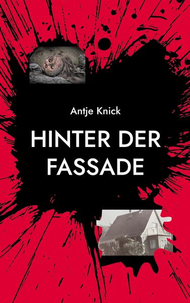 Produktbild: Hinter der Fassade
