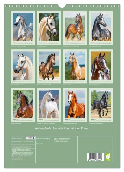 Produktbild: Araberpferde. Anmut in ihrer reinsten Form (Wandkalender 2027 DIN A3 hoch), CALVENDO Monatskalender