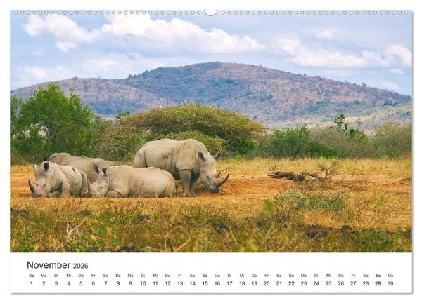 Produktbild: Safari durch Afrika (hochwertiger Premium Wandkalender 2026 DIN A2 quer), Kunstdruck in Hochglanz