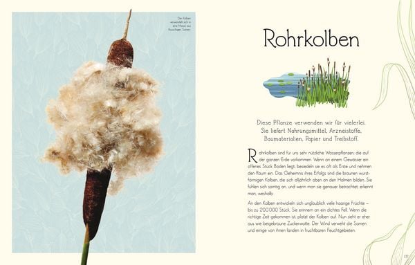 Produktbild: Wundervolle Welt. Wasser