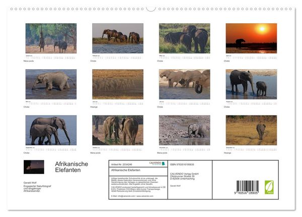 Produktbild: Afrikanische Elefanten (hochwertiger Premium Wandkalender 2026 DIN A2 quer), Kunstdruck in Hochglanz